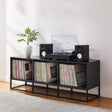 Mueble para Vinilos Industrial Abedul BLACK — Kallfu.cl