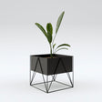 Plant Station Cubo METAL — Kallfu.cl